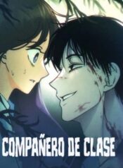 Compañero De Clase