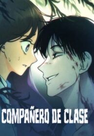 Compañero De Clase